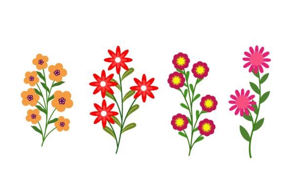 Download Flower Beautiful Collection - Beautiful collection Collection